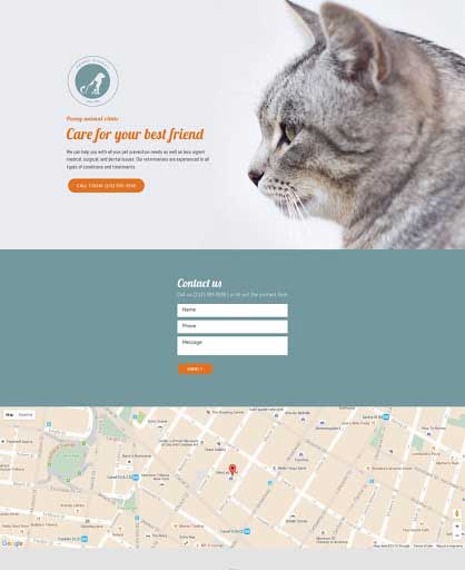 Pets & Animals Template